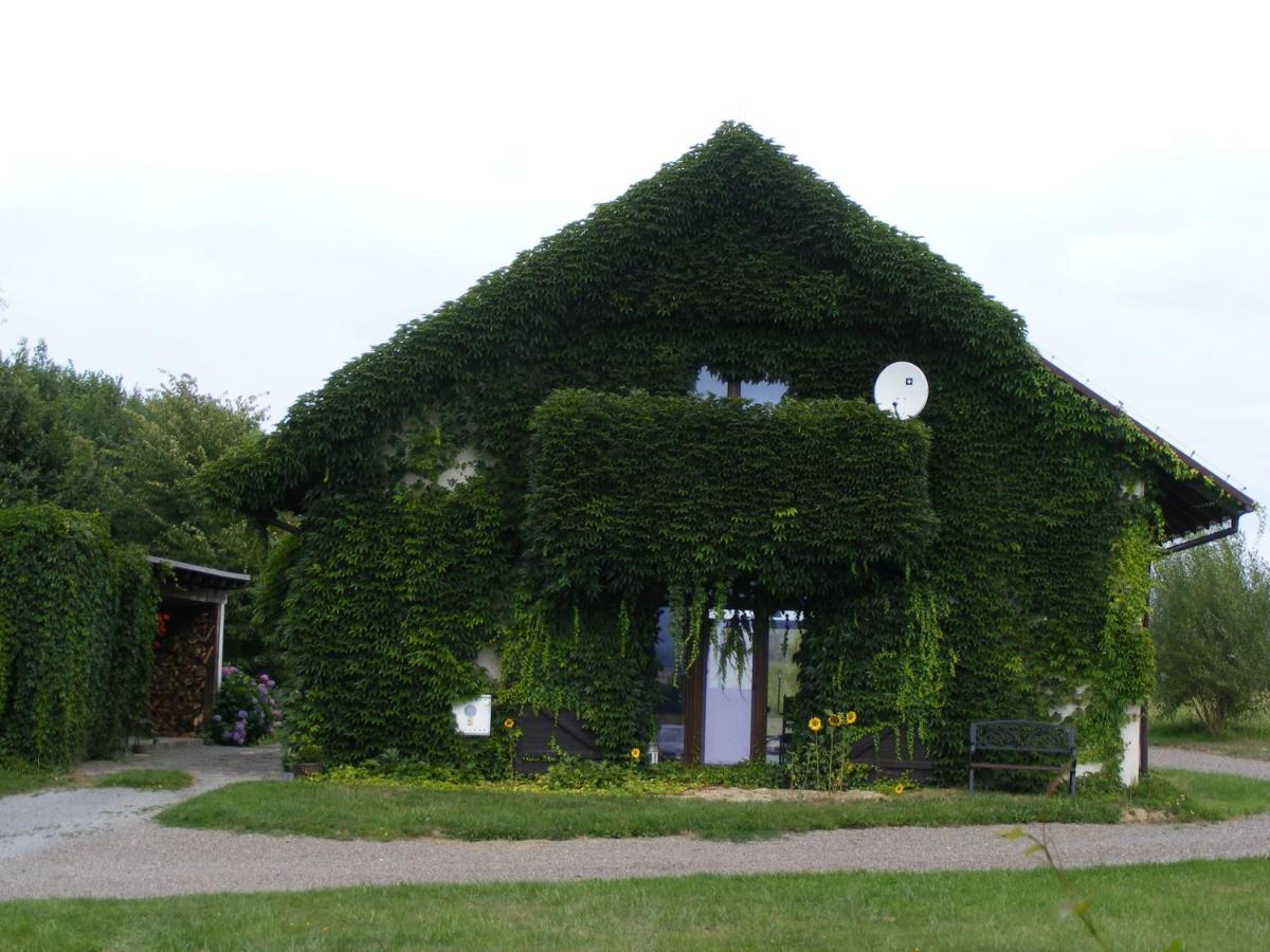Dworek Lachowicze Grzegorzewice Exterior foto